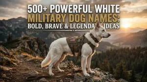 Powerful White Military Dog Names: Bold, Brave & Legendary Ideas